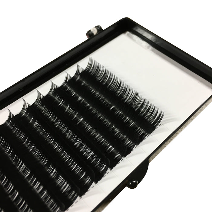 C Curl Premium Single Lash Tray - Warehouse Beauty 