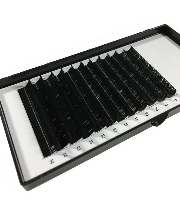 LD Curl Premium Single Lash Tray