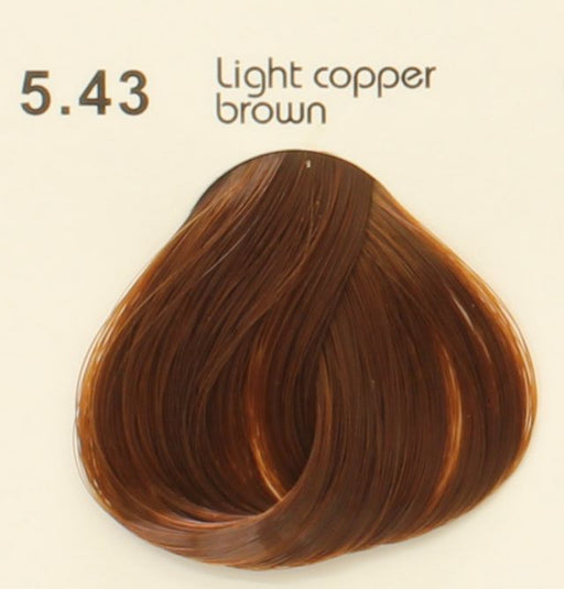 Valentina Campos Hair Color 5.43 ID #7855 - Warehouse Beauty 