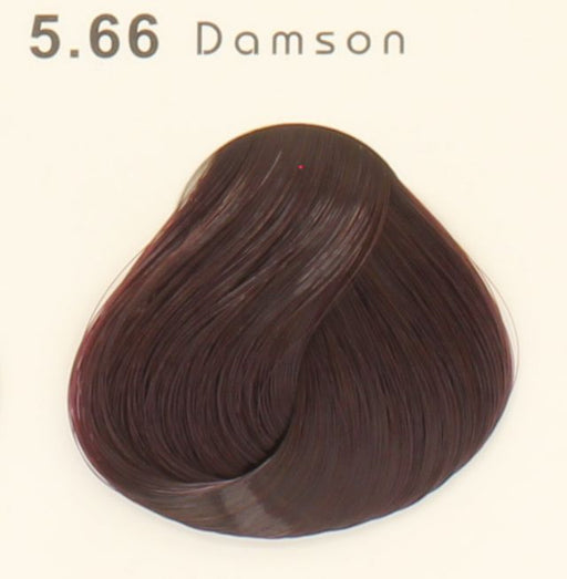 Valentina Campos Hair Color 5.66 ID #7870 - Warehouse Beauty 